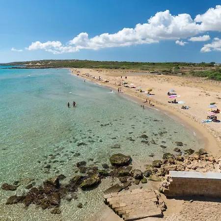 度假居 Viridi Chic